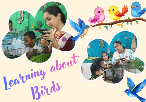 Through an experiential GK activity, teachers created a simulated garden to introduce a real bird specimen. Students actively observed, identified, and discussed bird parts and their functions.