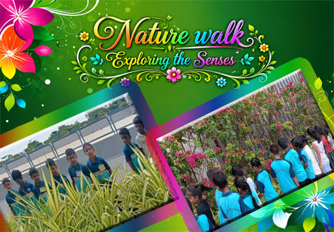Children explored the five senses through hands-on activities and a nature walk. They identified sense organs and their functions, observed various sensory materials, and shared their experiences.