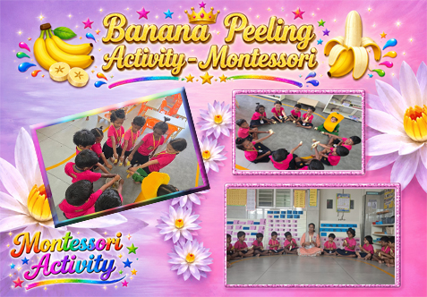 Our Montessori little stars had a fruitful time today as they celebrated the "Peel the Banana" activity with great excitement and joy! Through this hands-on activity, children explored the texture, color, and taste of bananas, learned about healthy eating, and practiced their fine motor skills by peeling the fruit themselves!